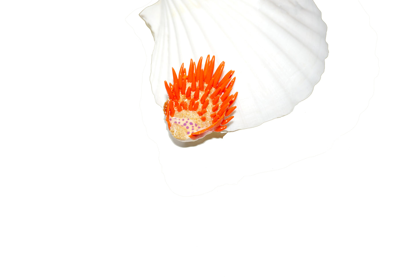 Boucles d'oreilles - Spondylus